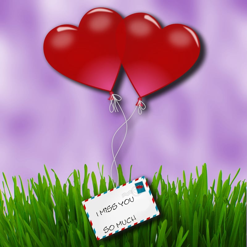 Experience heart-pounding moments