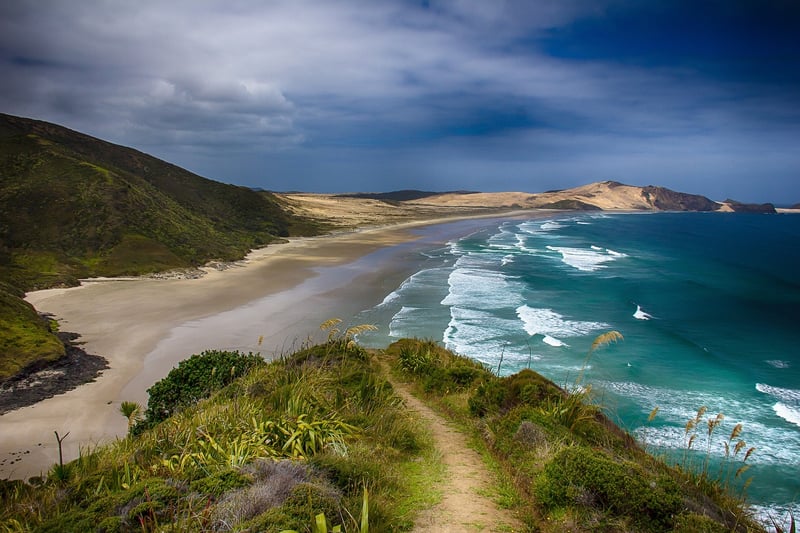 New Zealand Landscape
